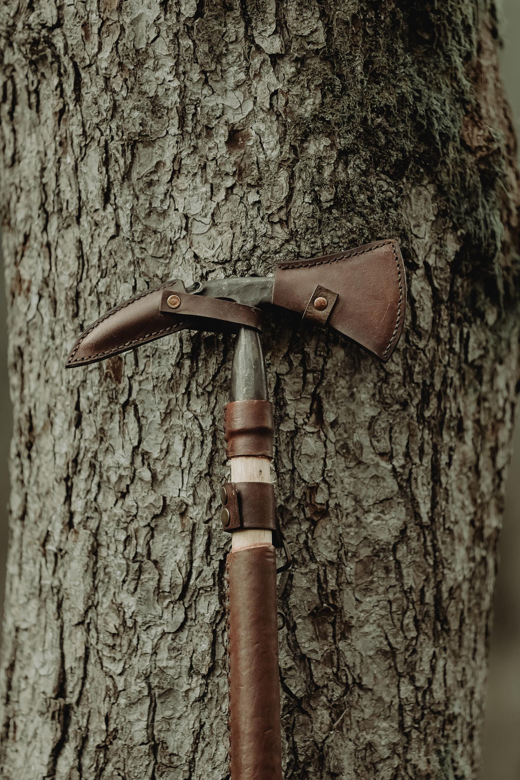 Feel the Power of Nature in Your Hands: A Lifetime Hiking Stick
