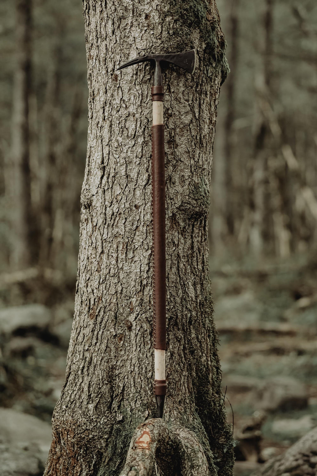 Feel the Power of Nature in Your Hands: A Lifetime Hiking Stick