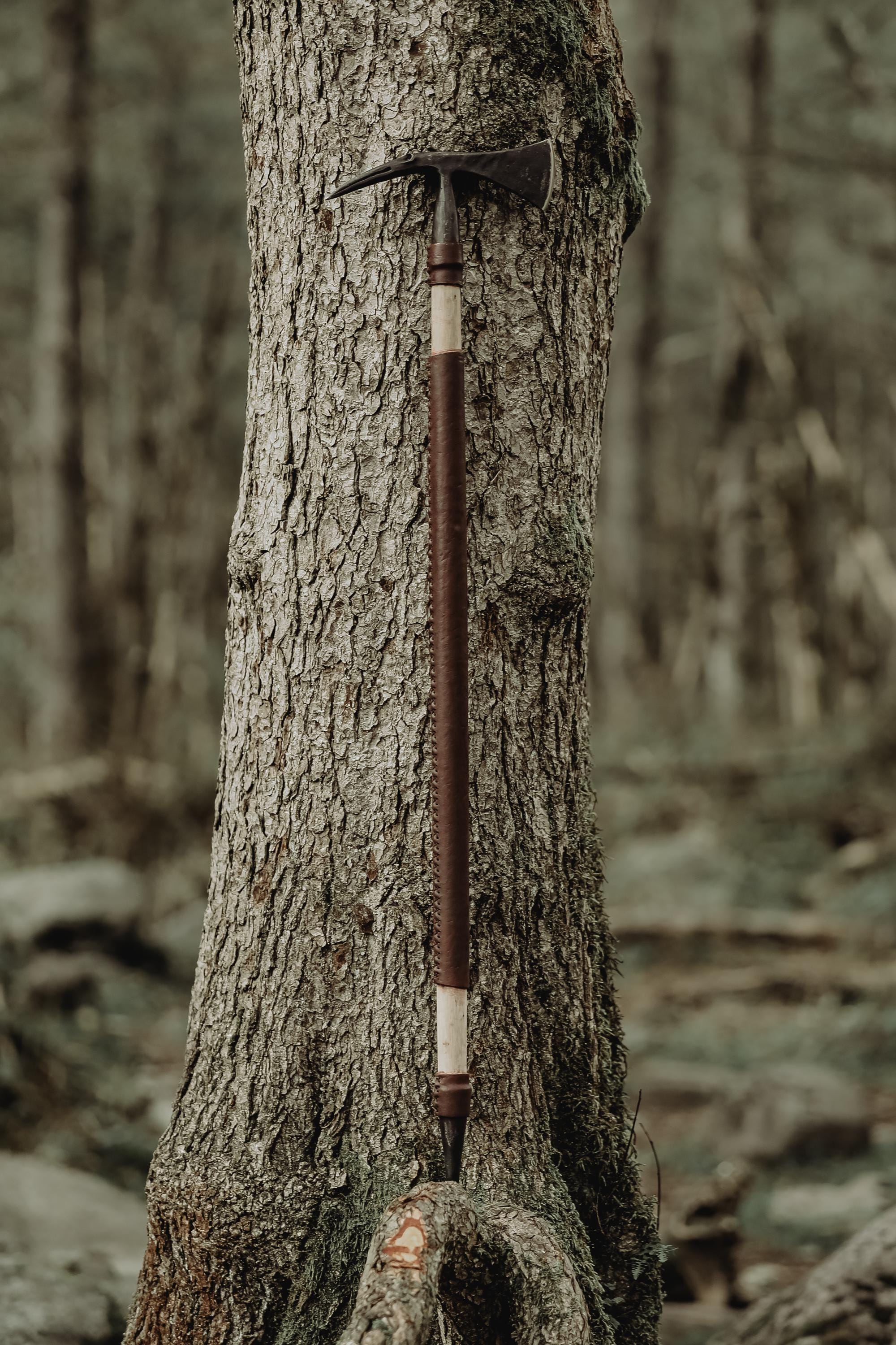 Feel the Power of Nature in Your Hands: A Lifetime Hiking Stick