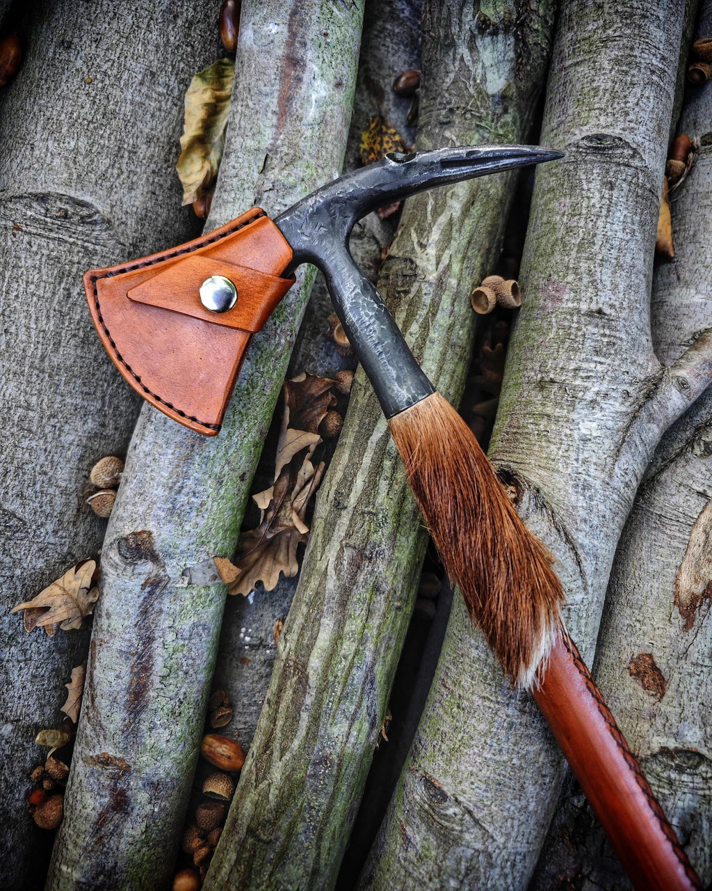 Feel the Power of Nature in Your Hands: A Lifetime Hiking Stick