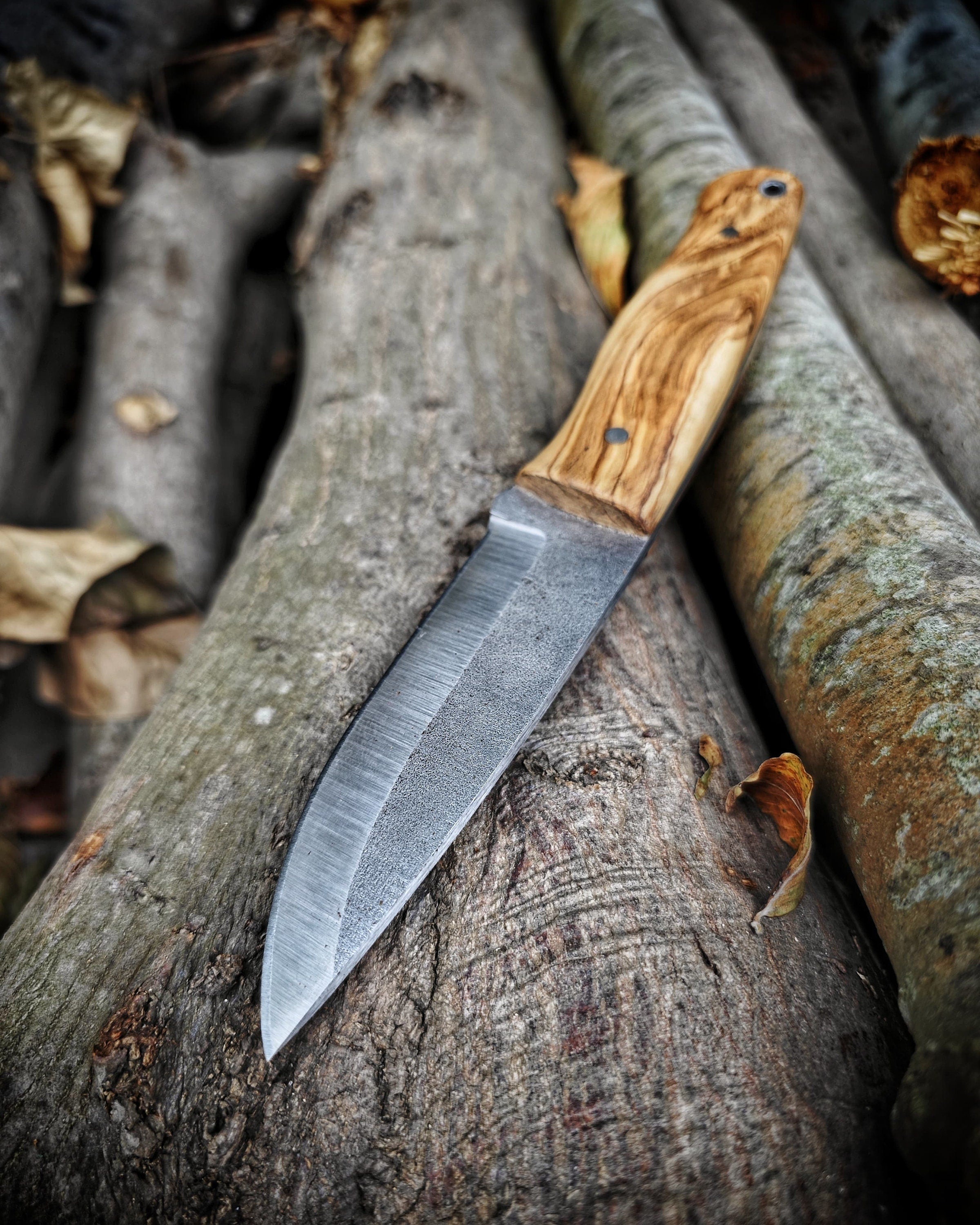 Majestic Olive Wood Handled Classic Bushcraft Knife: Harnessing the Power of Nature