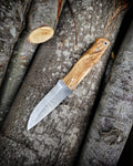 N690 stainless steel bushcraft knife with leather sheath